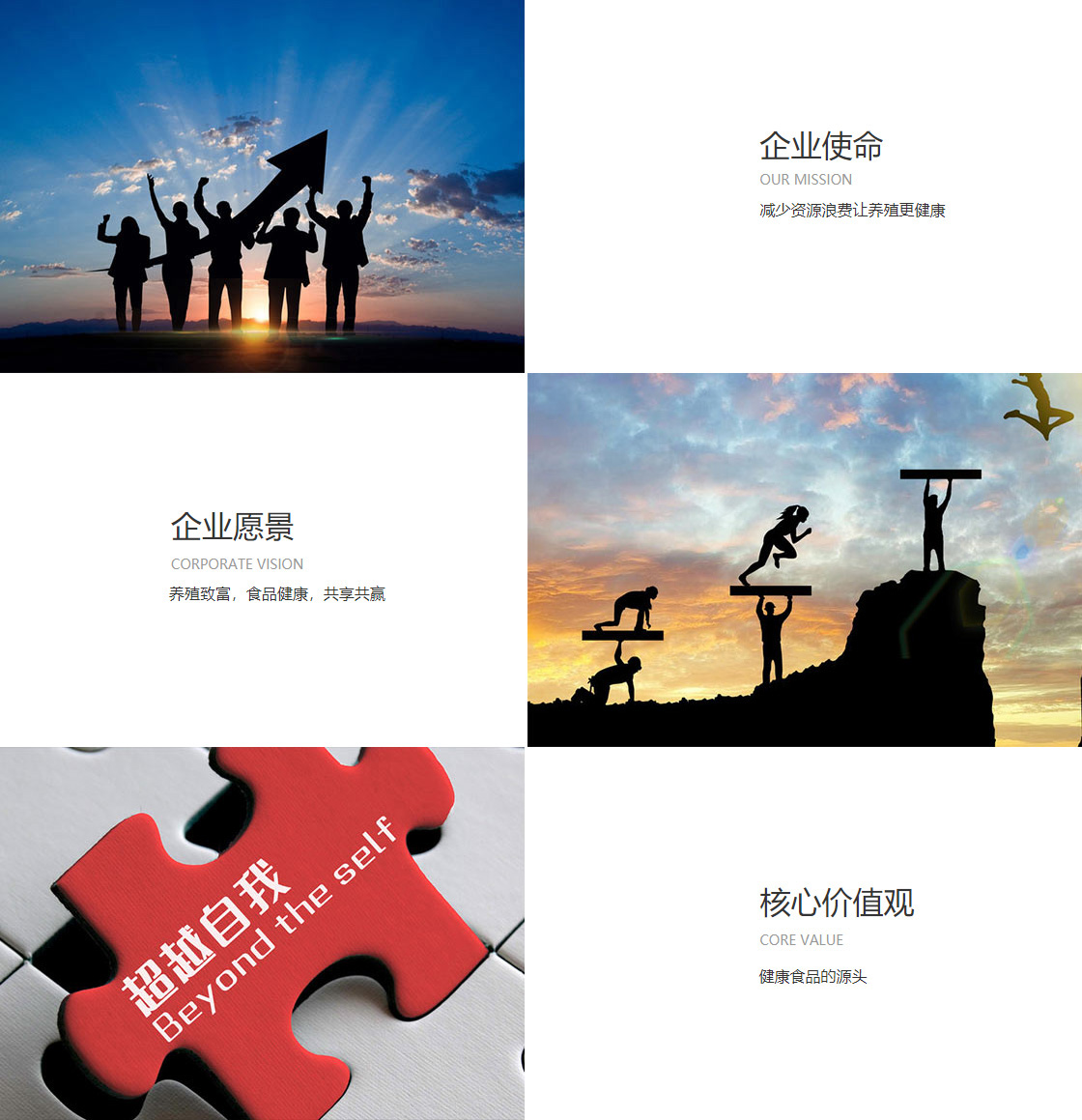 爱游戏ayx官网地址(图1)